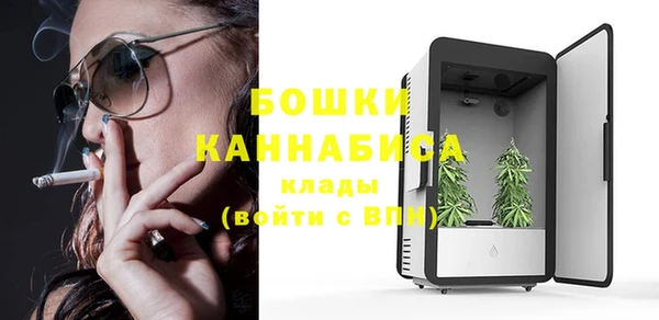 шишки Алексин