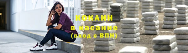 шишки Алексин