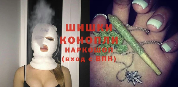 шишки Алексин